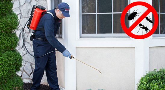 Tarsus Bit İlaçlama böcek ilaçlama ve haşere kontrolü — ilaclama-tr.com